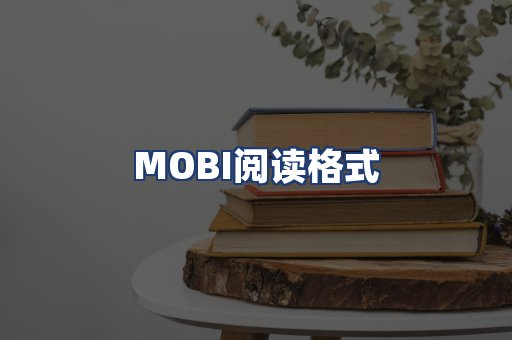 MOBI阅读格式